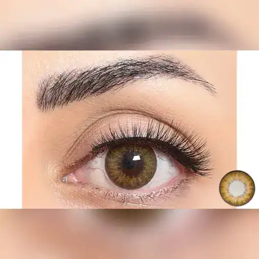 لنز رنگی عسلی فستیوال مورنینگ آیس هازل - Image 2
