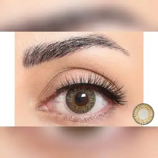 لنز رنگی عسلی فستیوال مورنینگ پیور هیزل - Image 2