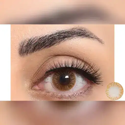 لنز رنگی قهوه ای فستیوال مورنینگ براون تن 1 - Image 2