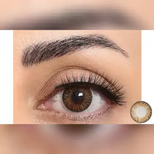لنز رنگی عسلی فستیوال مورنینگ براون تن 3 - Image 2