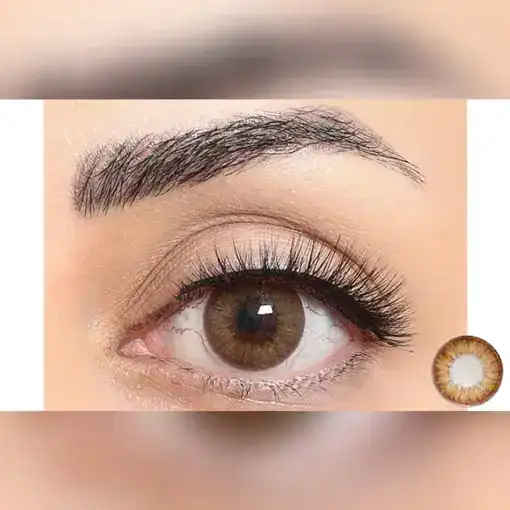 لنز رنگی قهوه ای فستیوال مورنینگ آیس براون - Image 2