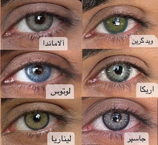 خرید کاتالوگ لنز سالانه یونیک