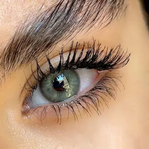 لنز رنگی طوسی سبز سلنا دیم گری - Image 2