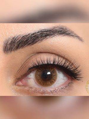 لنز چشم فصلی قهوه ای بدون دور از برند فستیوال مورنینگ کیو Festival Morning Q brown 1tone