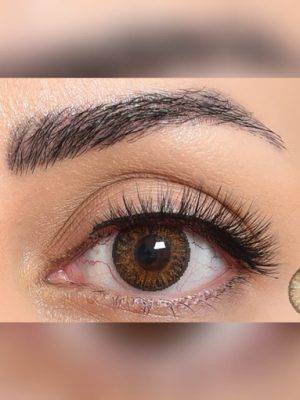 لنز چشم فصلی قهوه ای عسلی دوردار از برند فستیوال مورنینگ کیو Festival Morning Q brown 3tone