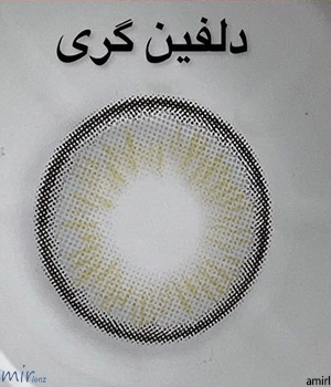 لنز طوسی عسلی دور مشکی دلفین گری آماندا کد 558