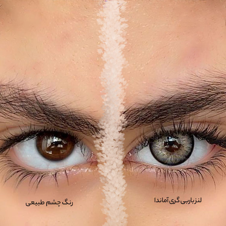 لنز طوسی بژ دور مشکی باربی گری آماندا