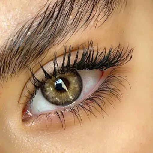 لنز سلنا کمل عسلی دور مشکی