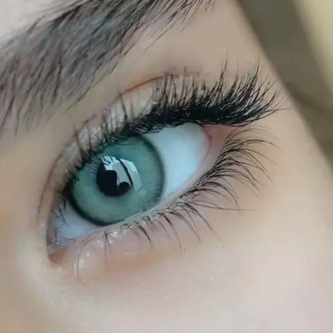 لنز سلنا ورسا سبز دوردار