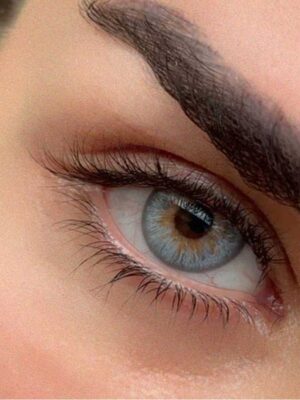 لنز رنگی گلوریا آتلانتیس گری فصلی